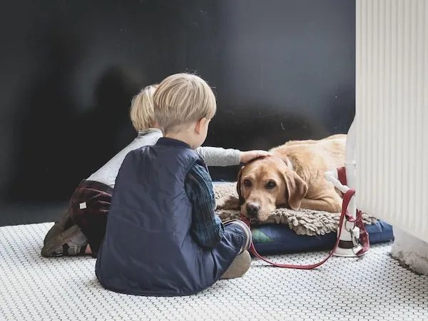 A cozy, family-friendly living area with durable flooring, comfortable seating, and space for pets to play.